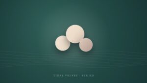 Kegels 101: A Plain-English Guide to Your Pelvic Floor